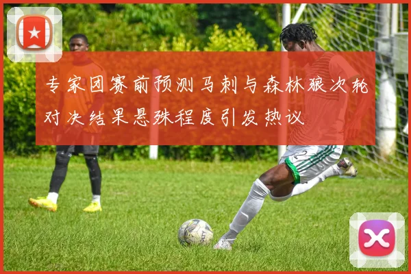 专家团赛前预测马刺与森林狼次轮对决结果悬殊程度引发热议