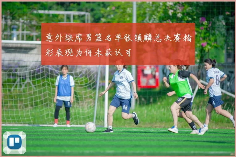 意外缺席男篮名单张镇麟总决赛精彩表现为何未获认可